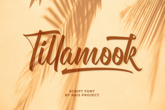 Elevating Your Brand Identity with the Tillamook Typeface