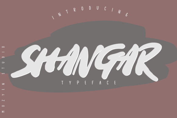 Shangar: Bringing Street Art Energy to Modern Display Design